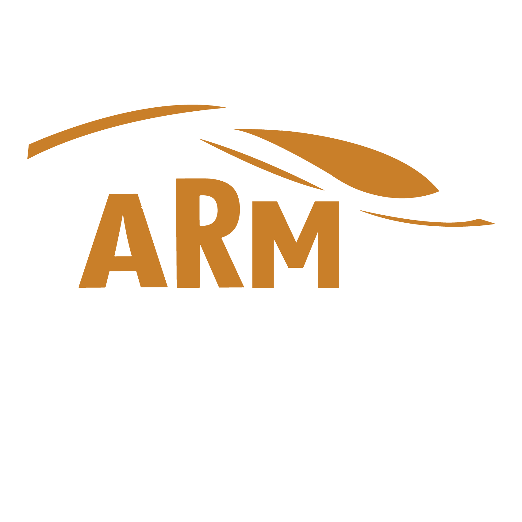 ARM Automotriz